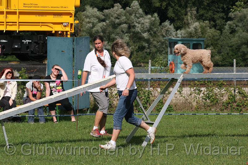 gluehwuermchen08 094 (65).jpg